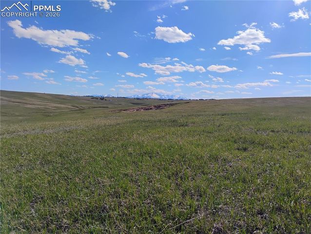 5565 Walker Road, Colorado Springs, CO 80908