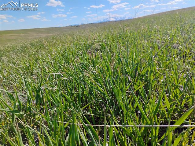 5565 Walker Road, Colorado Springs, CO 80908