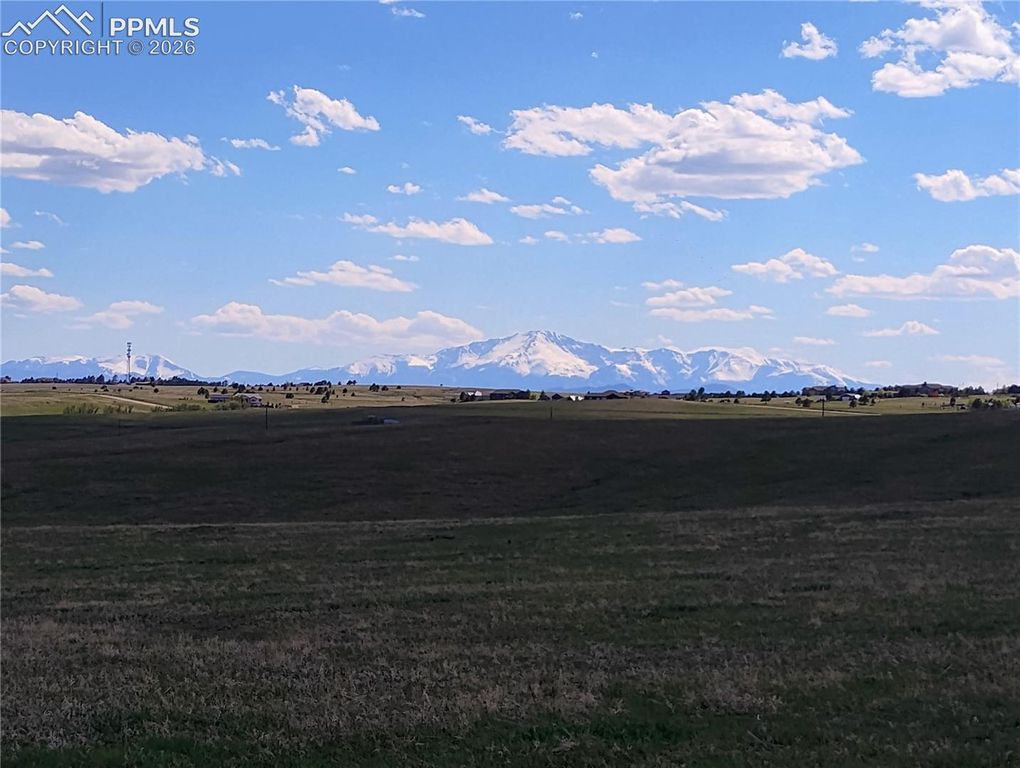 5565 Walker Road, Colorado Springs, CO 80908 — photo 5