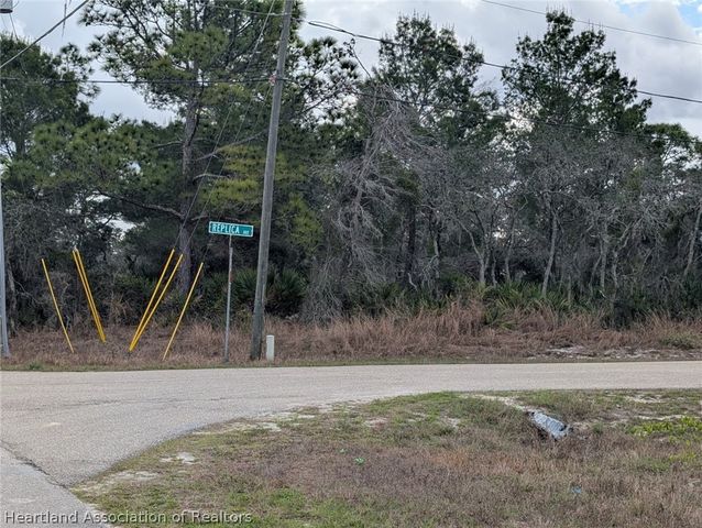 906 Replica Ave Avenue, Sebring, FL 33872