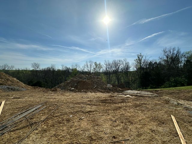 216 Brandenburg Way, Richmond, KY 40475