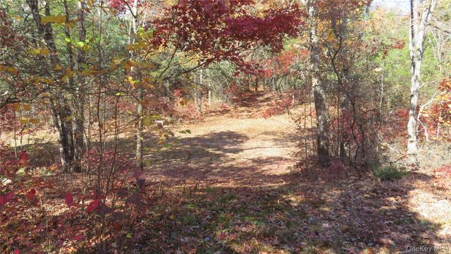 0 N. Quaker Lane, Staatsburg, NY 12580