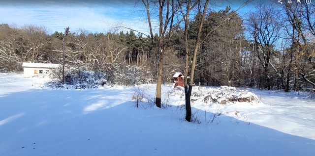 1909 167th Avenue NW, Andover, MN 55304