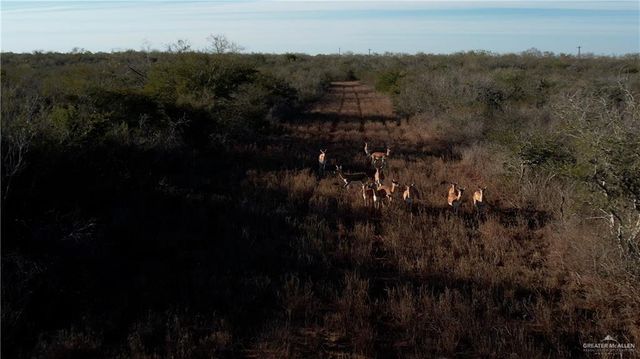 0 N FM 681, Edinburg, TX 78541