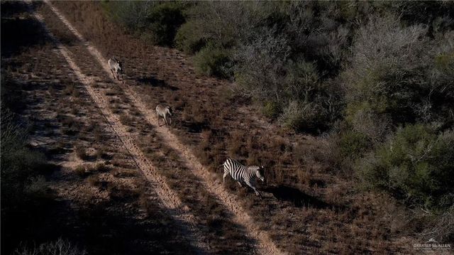 0 N FM 681, Edinburg, TX 78541