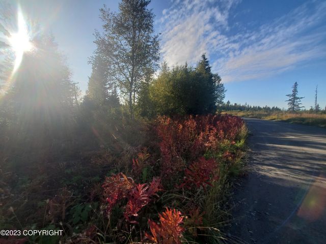 64195 Bolotna Road, Nikolaevsk, AK 99556