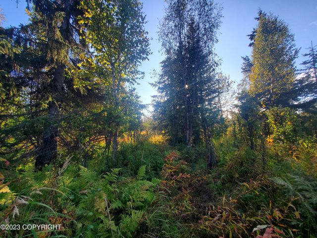 64195 Bolotna Road, Nikolaevsk, AK 99556