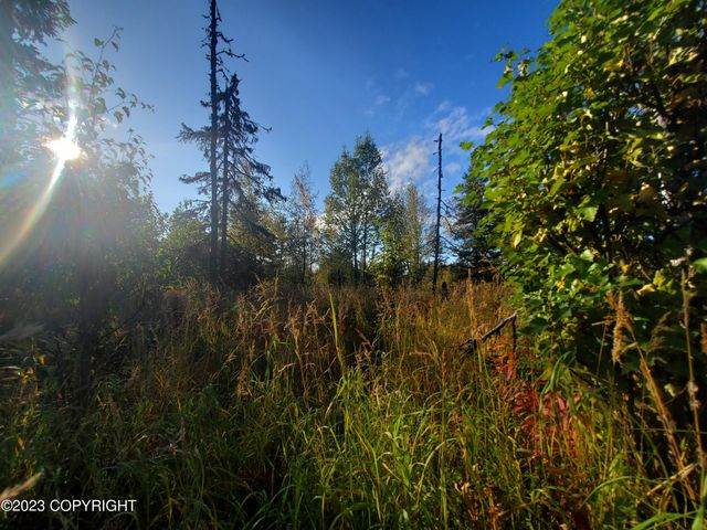 64195 Bolotna Road, Nikolaevsk, AK 99556