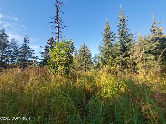 64195 Bolotna Road, Nikolaevsk, AK 99556