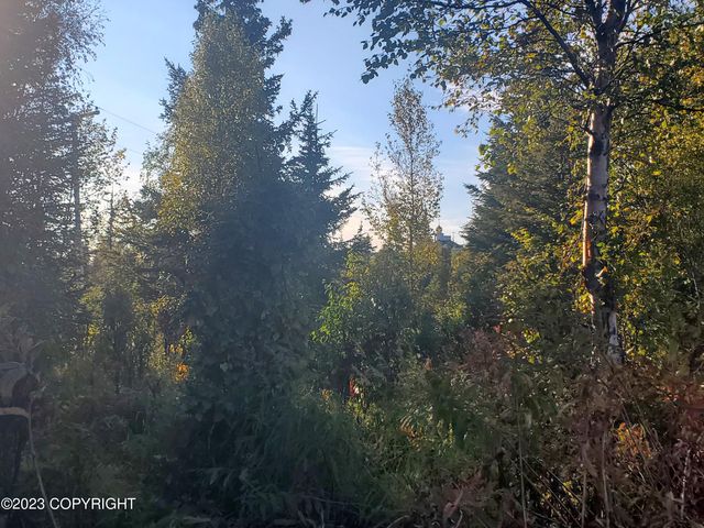 64195 Bolotna Road, Nikolaevsk, AK 99556