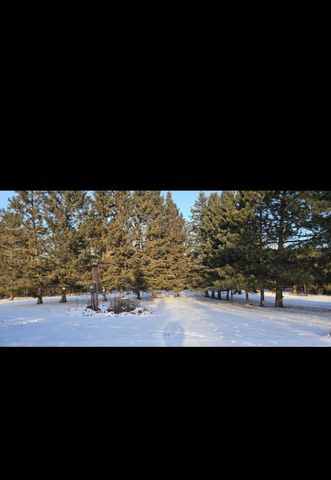 17953 219th Avenue, Nevis, MN 56467