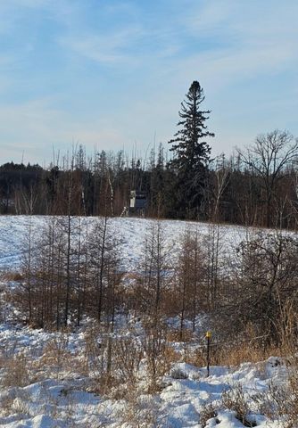 17953 219th Avenue, Nevis, MN 56467