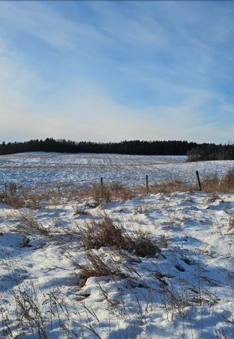 17953 219th Avenue, Nevis, MN 56467