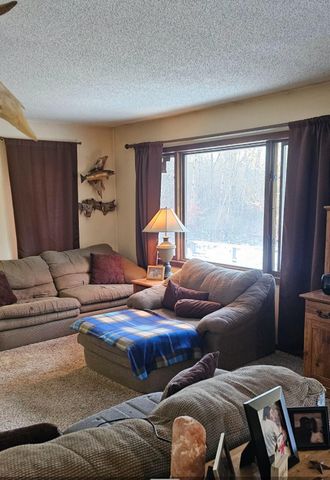 17953 219th Avenue, Nevis, MN 56467