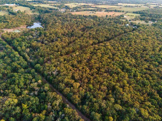 TBD County Road 3105 - 5 acres, Edgewood, TX 75117