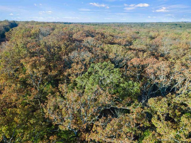 TBD County Road 3105 - 5 acres, Edgewood, TX 75117
