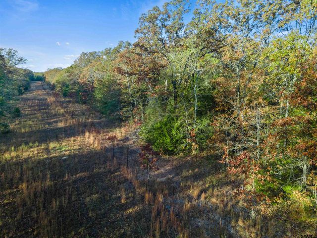 TBD County Road 3105 - 5 acres, Edgewood, TX 75117