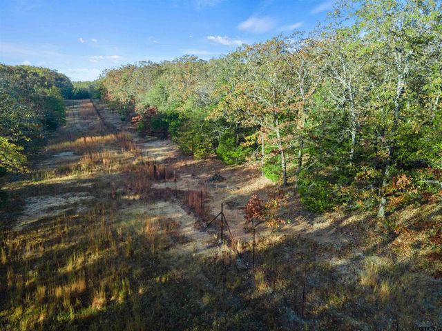 TBD County Road 3105 - 5 acres, Edgewood, TX 75117