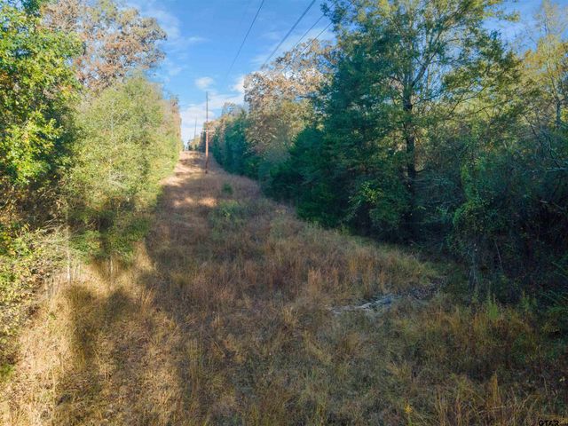 TBD County Road 3105 - 5 acres, Edgewood, TX 75117