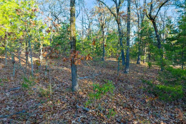 TBD County Road 3105 - 5 acres, Edgewood, TX 75117