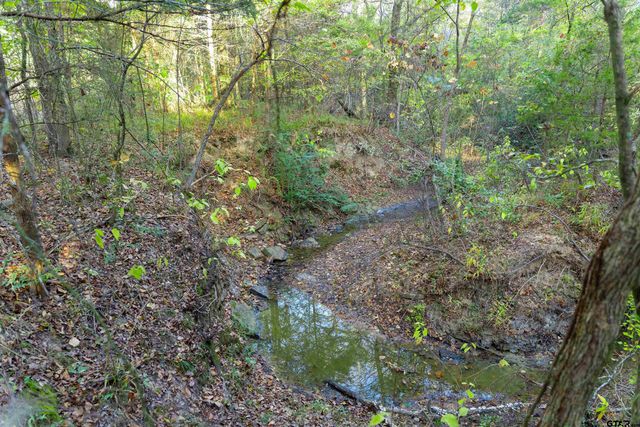 TBD County Road 3105 - 5 acres, Edgewood, TX 75117