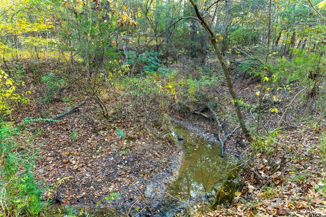 TBD County Road 3105 - 5 acres, Edgewood, TX 75117