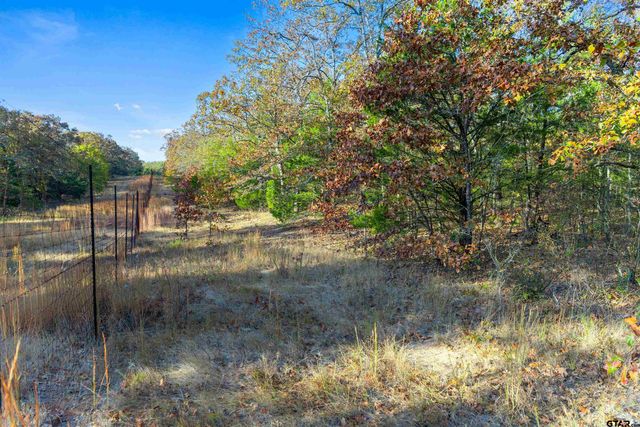 TBD County Road 3105 - 5 acres, Edgewood, TX 75117