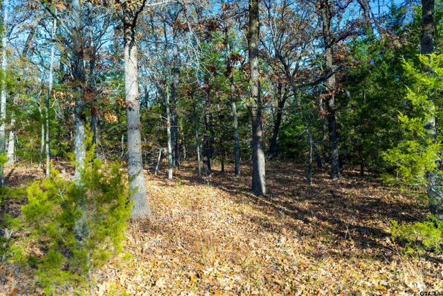 TBD County Road 3105 - 5 acres, Edgewood, TX 75117