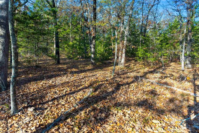 TBD County Road 3105 - 5 acres, Edgewood, TX 75117