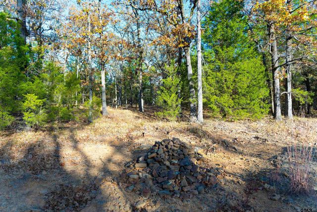 TBD County Road 3105 - 5 acres, Edgewood, TX 75117