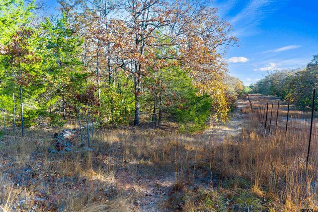 TBD County Road 3105 - 5 acres, Edgewood, TX 75117
