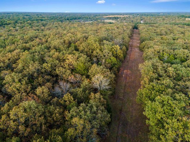 TBD County Road 3105 - 5 acres, Edgewood, TX 75117