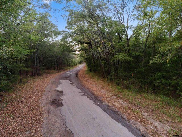 TBD County Road 3105 - 5 acres, Edgewood, TX 75117