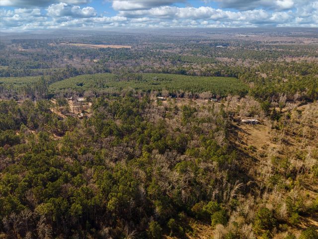 462 County Road 1172, Kennard, TX 75847