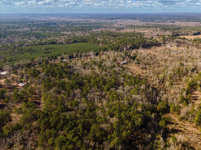 462 County Road 1172, Kennard, TX 75847