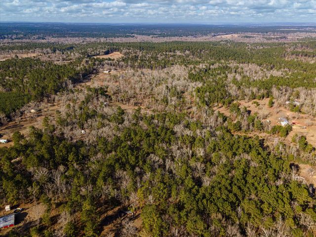 462 County Road 1172, Kennard, TX 75847