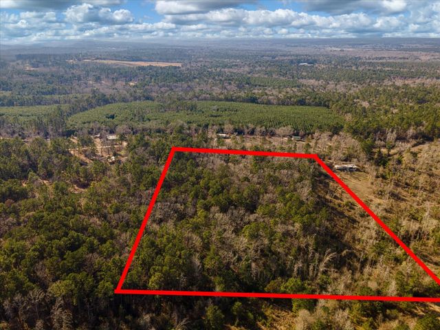 462 County Road 1172, Kennard, TX 75847