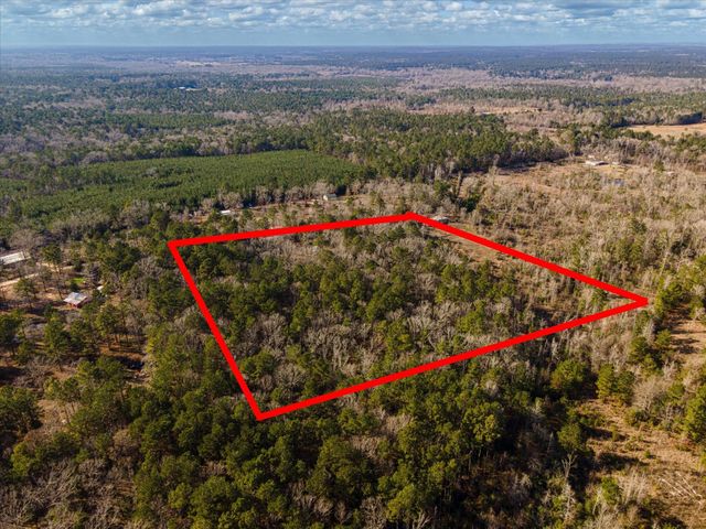 462 County Road 1172, Kennard, TX 75847