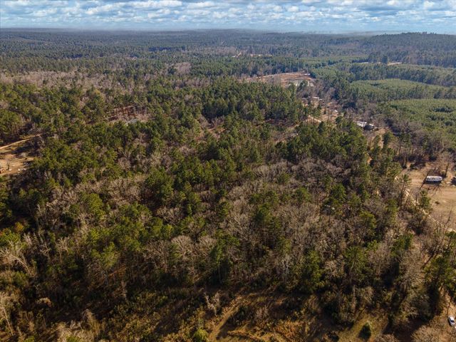 462 County Road 1172, Kennard, TX 75847