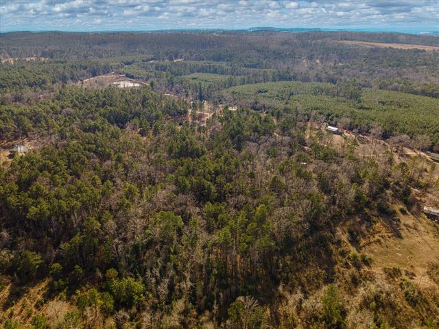 462 County Road 1172, Kennard, TX 75847