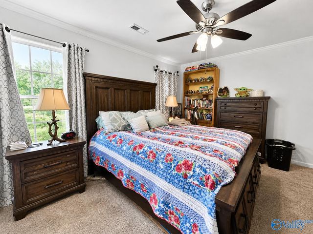 322 Buffalo Creek Drive, Toney, AL 35773