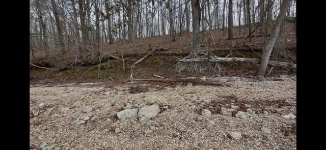 0 Pearson Road Tract 4, Harrison, TN 37341
