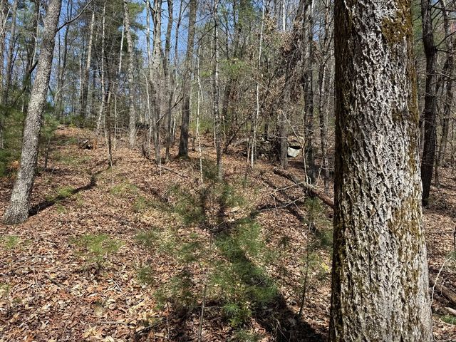 0 Morrow Road, Murphy, NC 28906
