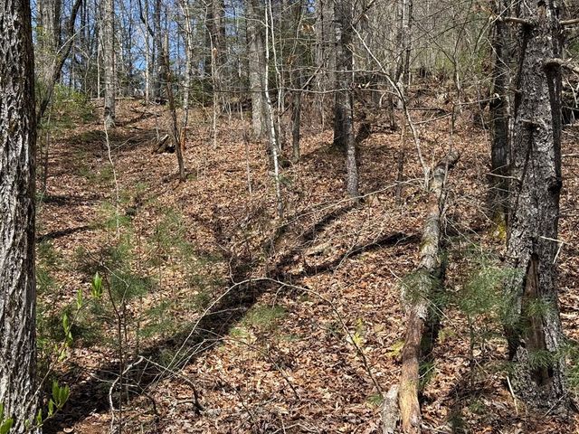 0 Morrow Road, Murphy, NC 28906