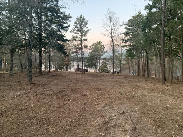 TBD Pedernales Street, Scroggins, TX 75480