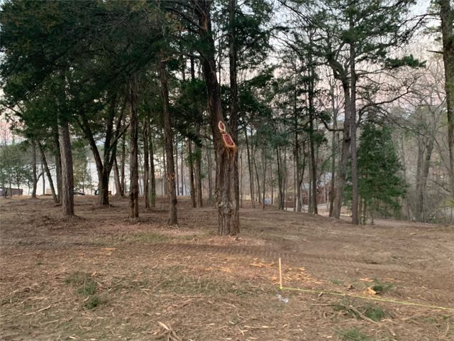 TBD Pedernales Street, Scroggins, TX 75480