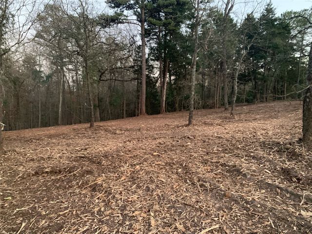 TBD Pedernales Street, Scroggins, TX 75480