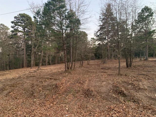 TBD Pedernales Street, Scroggins, TX 75480