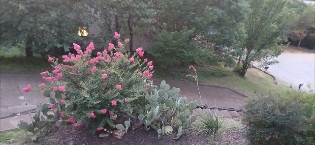 1801 Old Oak Drive, Arlington, TX 76012