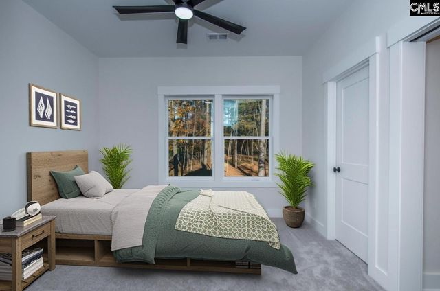 530 Misty Banks Drive, Chapin, SC 29036